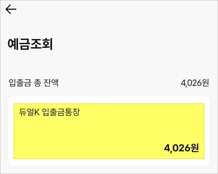 예금 조회하기